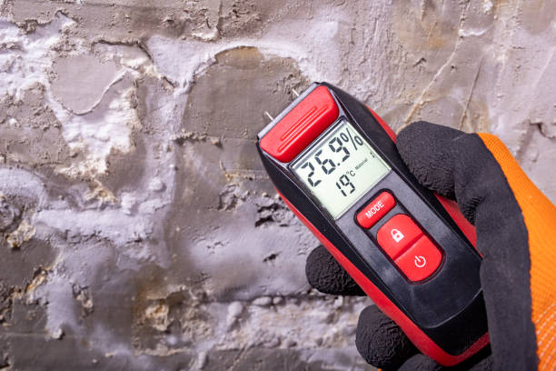 Best Crawl Space Mold Remediation in Frankenmuth, MI