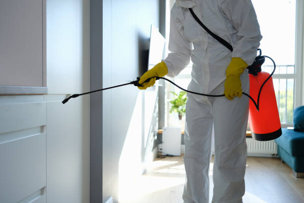 Best HVAC Mold Remediation in Frankenmuth, MI